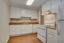 Oakwood Studio 1 bed 1 bath 8